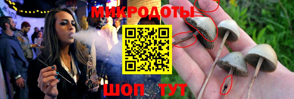 Псилоцибиновые грибы MAGIC MUSHROOMS  Вход с VPN  Грязи 